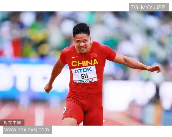 历届体育明星评选回顾与最佳运动员排名分析