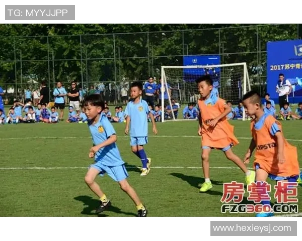 足球明星金羽洋的传奇之路与未来发展展望